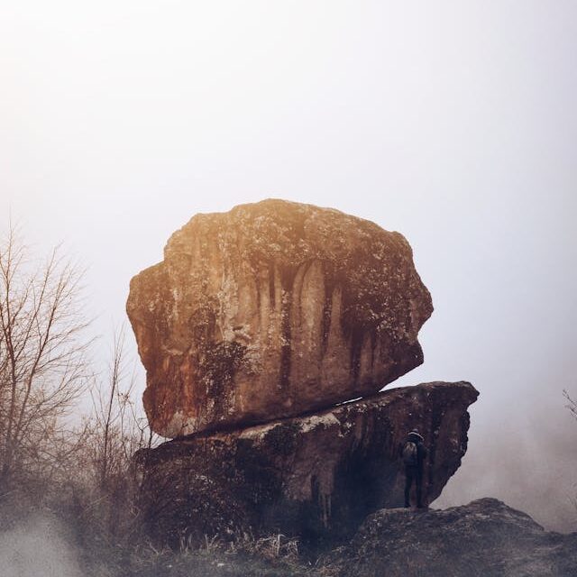 pexels-ekrulila-2418673